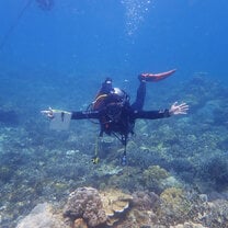 Reef Check Reef Survey in Action