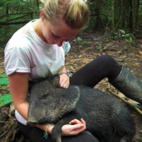 South America Explorer