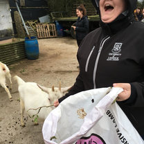 My onsite director took our entire study abroad group to a farm and I was so excited! Goats are my favorite animals, but I had never been able to see one before! We also fed chickens and horses. The horses had been shown to us and even did some of their show stunts. Amazing experience!