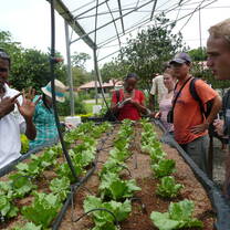  Volunteers at farm work