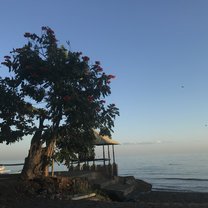 Lovina beach,what a fancy place!
