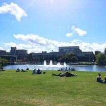 Hanging out on the UCD campus, photo by UCD student Diva Gallo