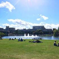 Hanging out on the UCD campus, photo by UCD student Diva Gallo