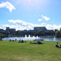 Hanging out on the UCD campus, photo by UCD student Diva Gallo Hanging out on the UCD campus, photo by UCD student Diva Gallo