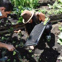 Volunteers doing farm work