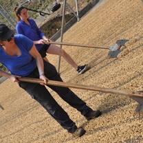Volunteers doing farm work