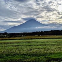 My Fuji 2