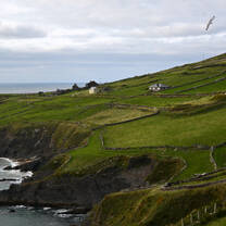 The beautiful Irish landscape, photo by UCD student Leah Combs