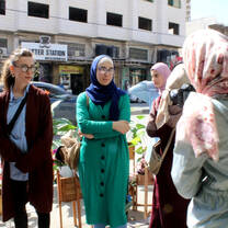 Media in Palestine Program
