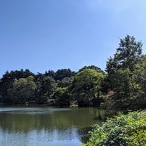 Shinjuku park