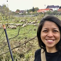 Visited by a flock of sheep while we did our community clean-up