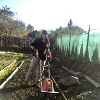 Cultivating the soil for my agriculture placement.