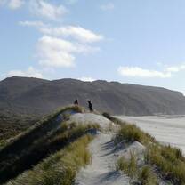 Farewell Spit