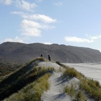 Farewell Spit