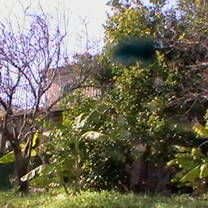 Entering the field station