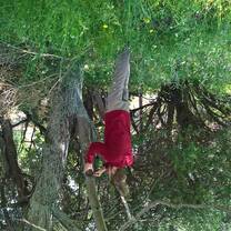 Volunteer installing a wildlife camera