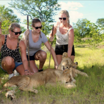 Interns visiting a lion and cheetah conservation project in Namibia.