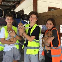 One day for service we helped with an animal shelter. These are the puppies!! A lot of the service you do however is in villages and working with kids.