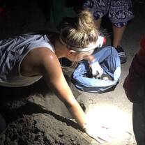 A fellow friend placing the eggs in the hatchery.