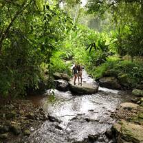 The beautiful nature that Costa Rica holds within its core