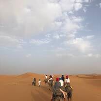 Riding camels through the Sahara desert