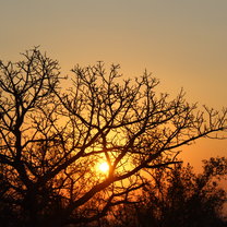 Beautiful sunsets!