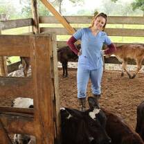 Student working on a local cattle farm.