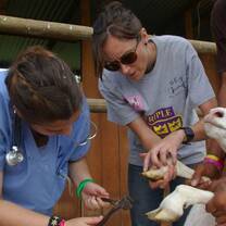 Students gaining fieldwork experience at a local farm.