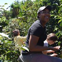 Spanish & Sustainability Practices in Costa Rica
