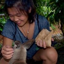 First time feeding and petting a wallaby