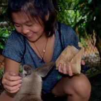 First time feeding and petting a wallaby