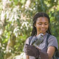 Raptor rehabilitation