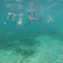 Snorkeling in Bayahibe. This was after a Parrotfish ID to get us familiar to different Parrotfish.