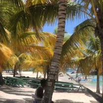 We spent a night on Isla Saona an island off the main land to learn about turtles and their importance. 