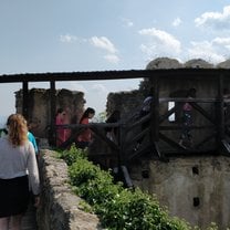 Our field trip