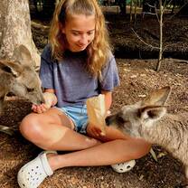 We visited the Steve Irwin Australia zoo where we fed kangaroos, walked around, and watched a show.