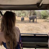 On Safari gettiing close up with an elephant herd