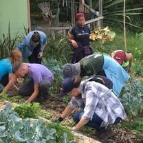 Spanish & Sustainability Practices in Costa Rica