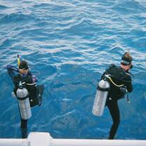 Jumping in!