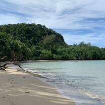 This is the beach at the hostel they were in. 