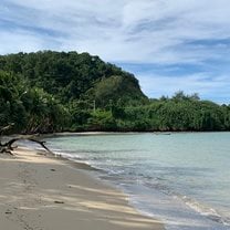 This is the beach at the hostel they were in. 