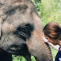This photo was take of me and the elephant I took care of for a week named Tongtae. She was the sweetest animal and had two baby elephants! I miss her all the time. 