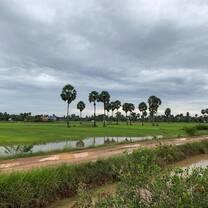 Biking through rice fields.
