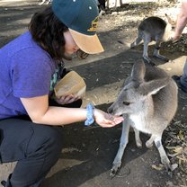 Feeding a kangaroo at the Australia Zoo