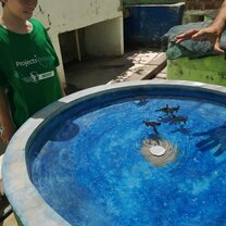 First time we got to meet the baby turtles & Pablo giving us information about the different types & how to clean & feed them