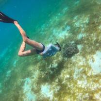 Scuba Diving