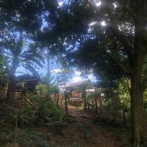 Hill in the forest with house in the background.