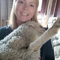 Girl holding a sheep
