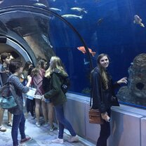 French Immersion Summer Program in Canada