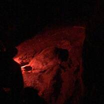 At night we got to see turtles giving birth 